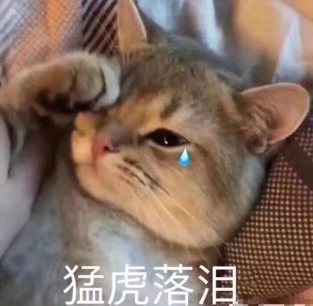 睡觉