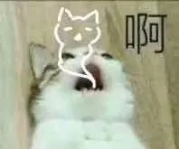 第三天